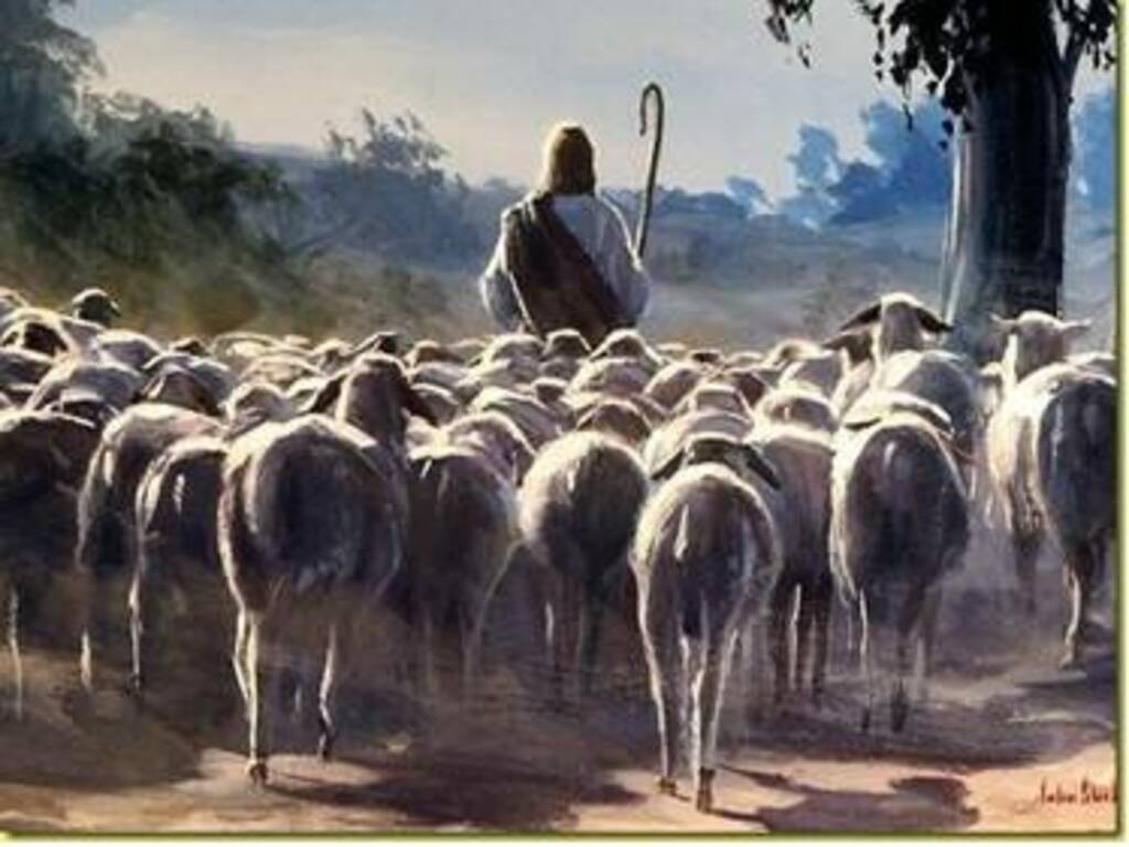 IL VERBO DELLA DOMENICA' - Quando il Buon Pastore offre la Vita per le sue  pecore - Castelli Notizie