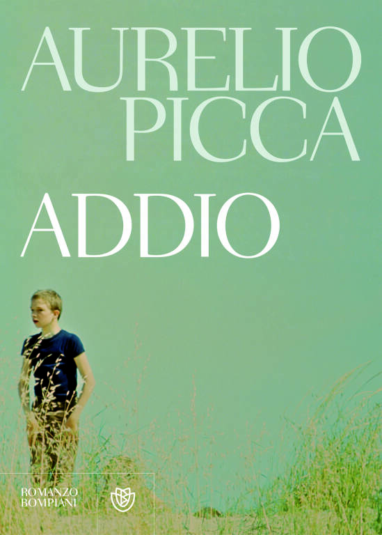 La copertina di Addio di Aurelio Picca