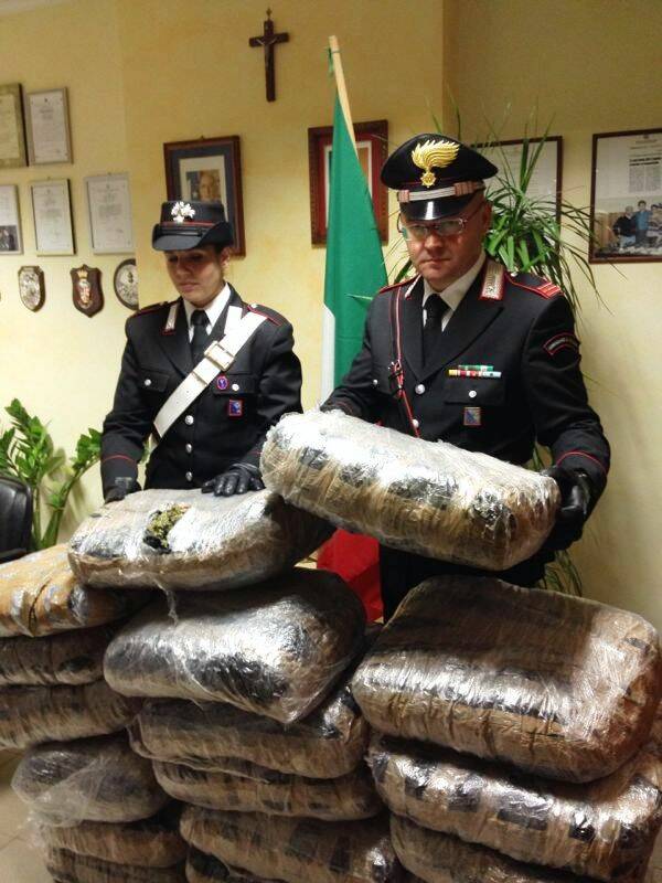 La marijuana sequestrata dai Carabinieri di Tor Bella Monaca