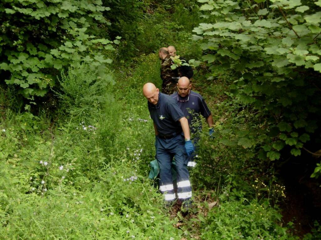 mortuaria bosco (1)