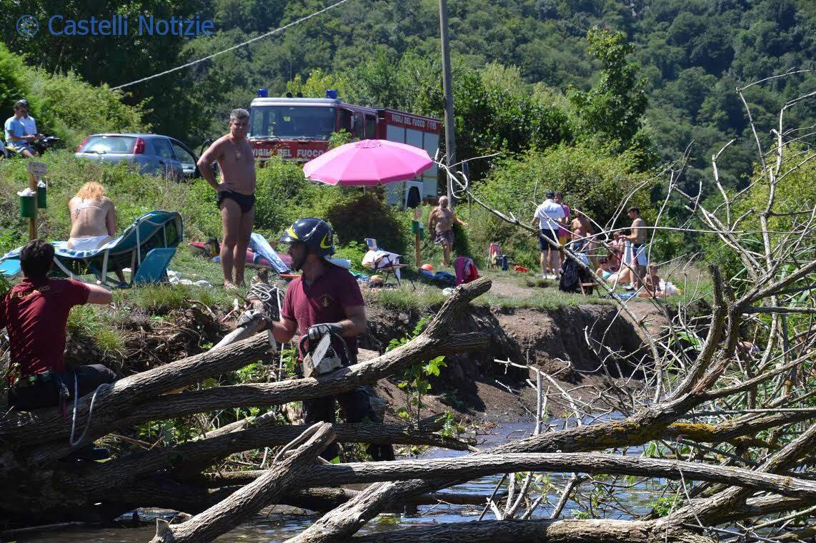 recupero alberi lago