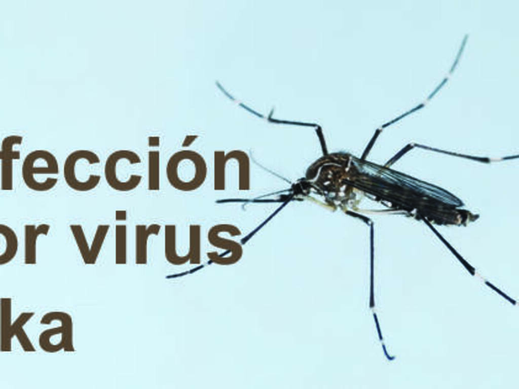 virus zika