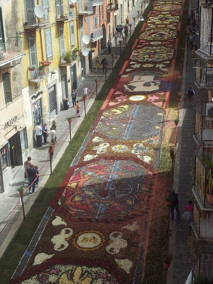 tappeto infiorata rovinato