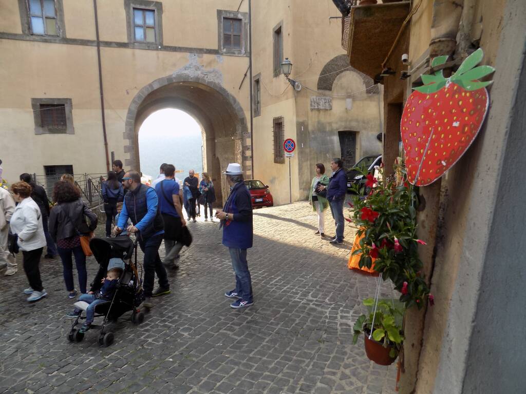 preparativi sagra delle fragole 2016_8