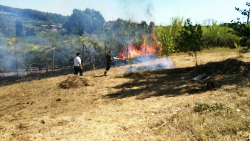 incendio velletri