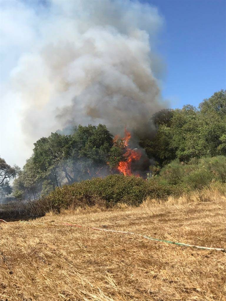 incendio le castella