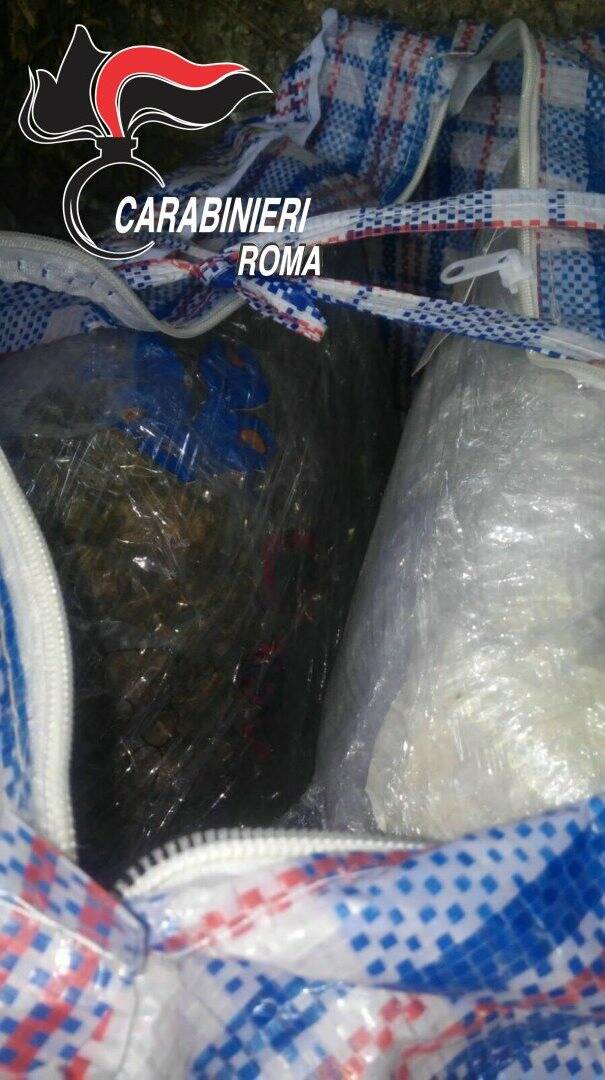 FRASCATI - 21 kg di droga sequestrati dai Carabinieri (2)