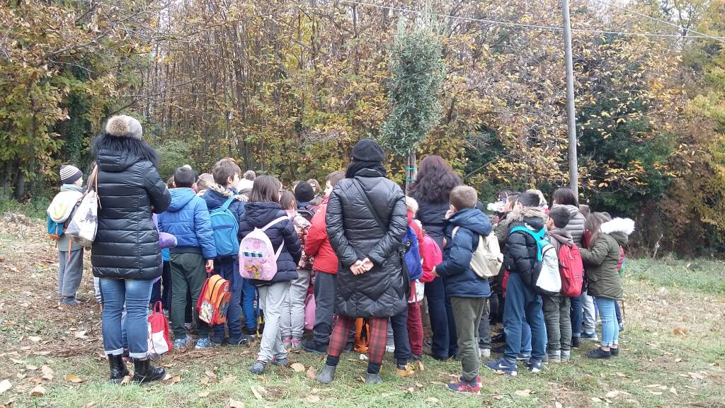 Festa dell'albero genzano ariccia