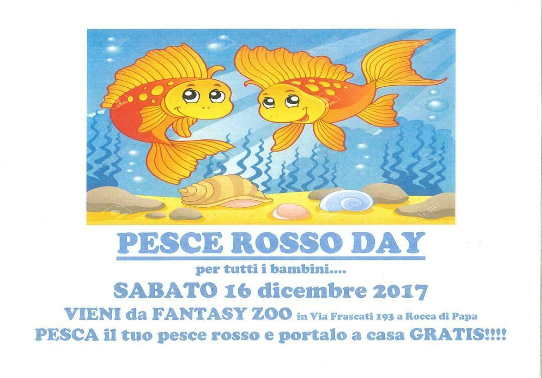 pesce rosso day