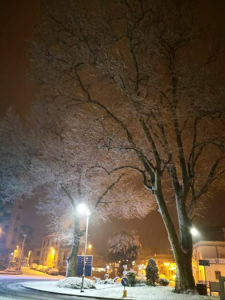 Velletri - L'Alberone imbiancato - Foto Meteo Velletri