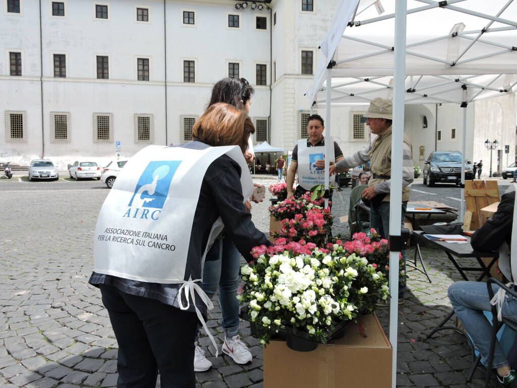 ariccia santa flavia