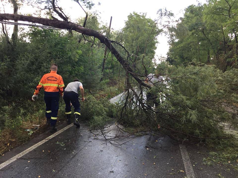 lanuvio protezione civile