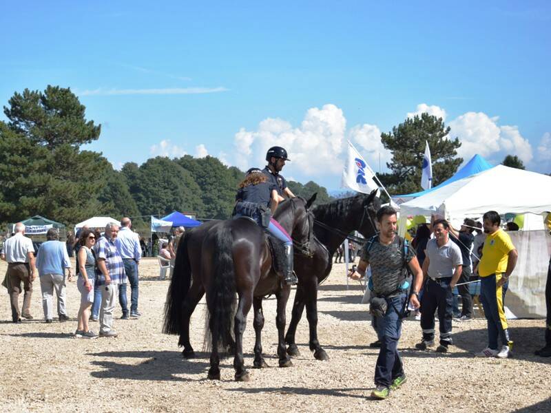 porte aperte al centro equestre del vivaro rocca di papa 6