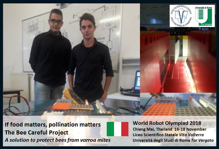 Bee Careful team Liceo  Volterra