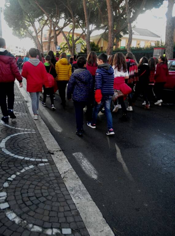 corteo marino