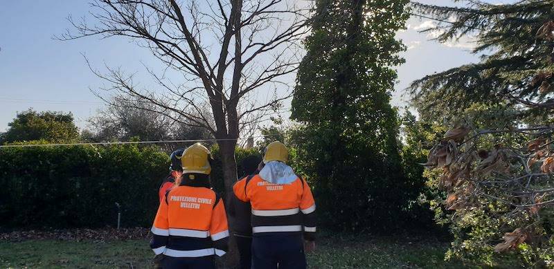 protezione civile velletri