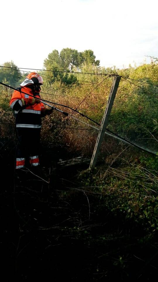 protezione civile ariccia la fenice