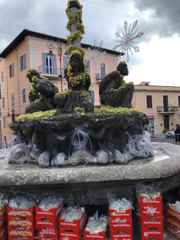 sagra dell'uva marino 2019 _1