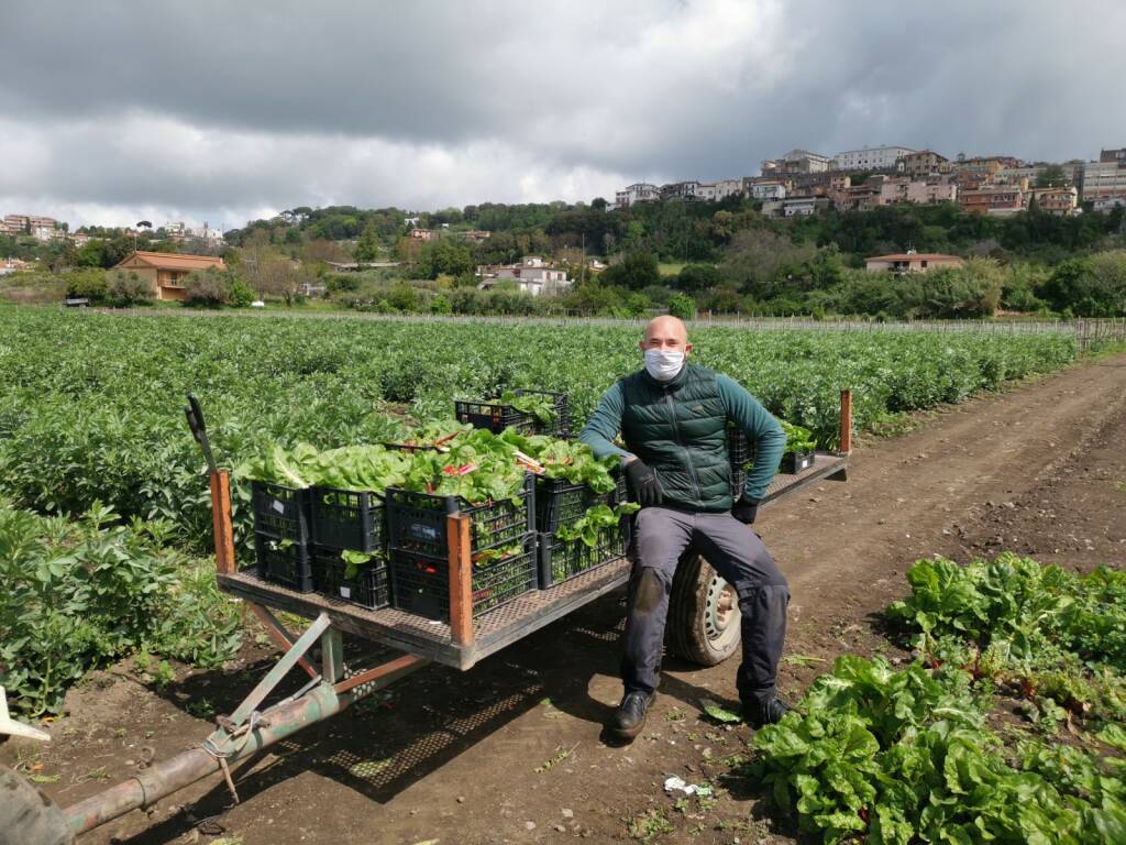 Associazione Castelli Romani Food e Wine