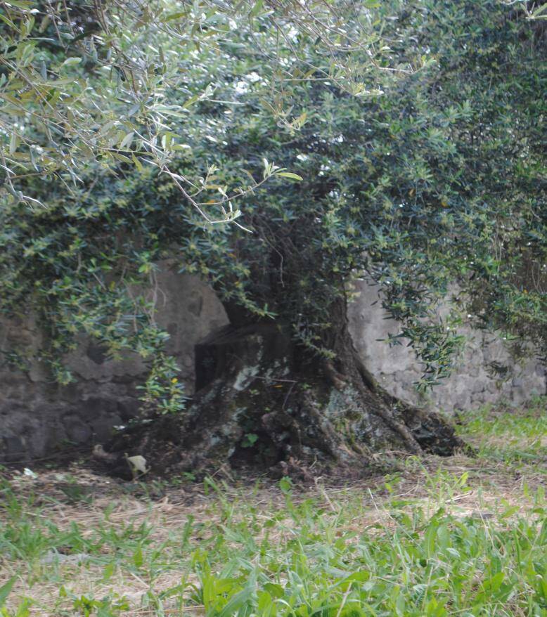 muro dei Francesi-Villa dei Valerii