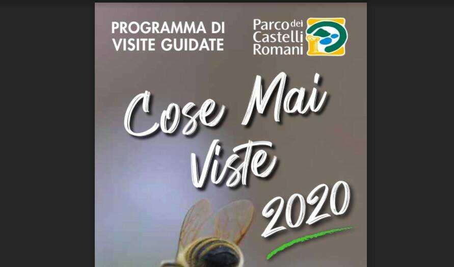 COSE MAI VISTE 2020