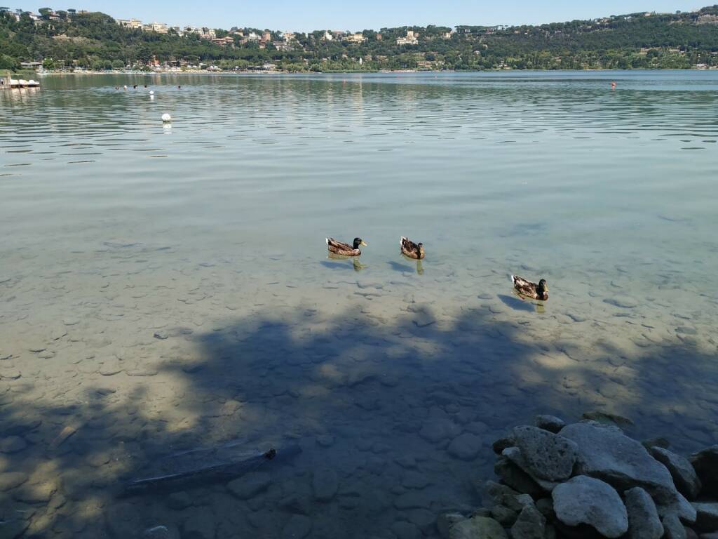 goletta dei laghi castel gandolfo