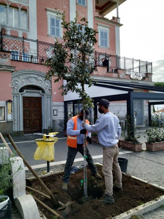 festa dell'albero Genzano 2020