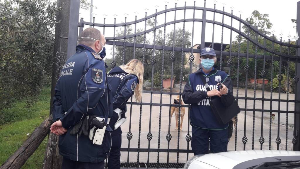 polizia locale velletri