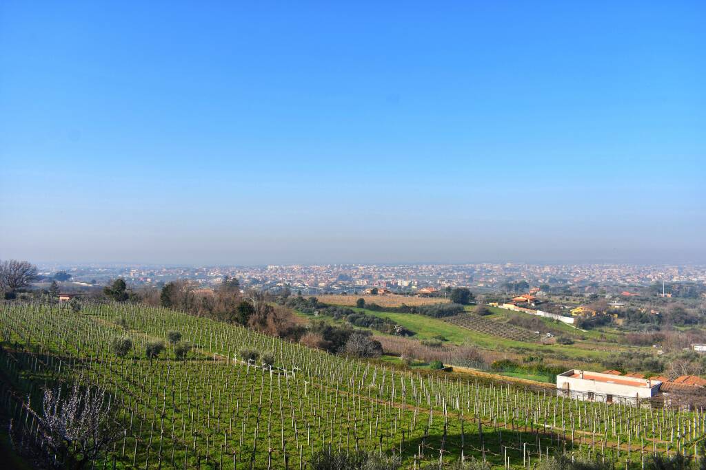 la torretta bio grottaferrata