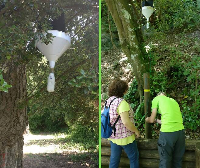 monitoraggio insetti parco castelli romani