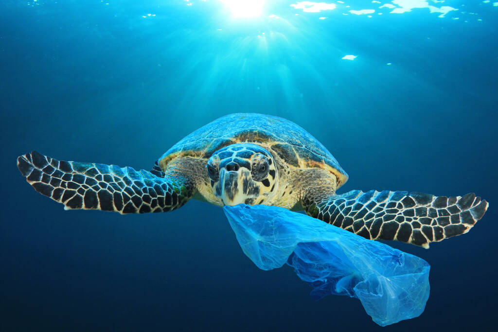 Plastic pollution in ocean environmental problem. Turtles can eat plastic bags mistaking them for jellyfish