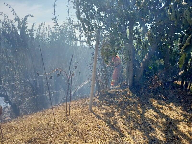 Rocca Priora Protezione Civile