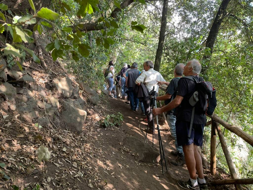 celebrazione san michele nemi