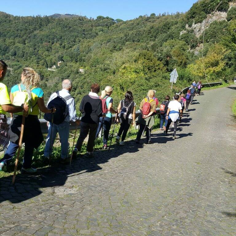 escursione yoga lago nemi