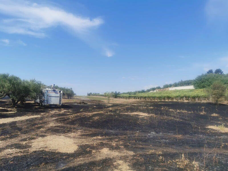 Incendio Vigne Nuove Genzano