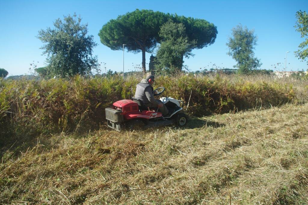 lavori erba appia antica