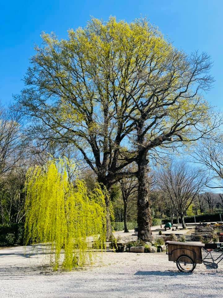 Parco Romano Biodistretto.7