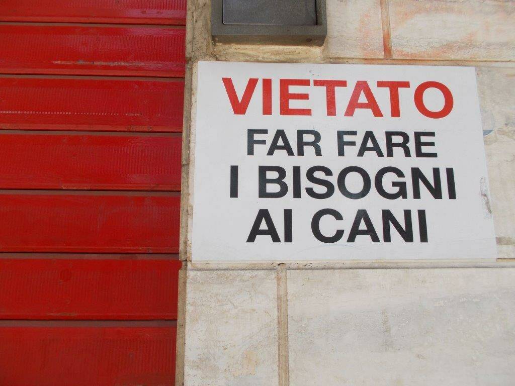 divieto cani