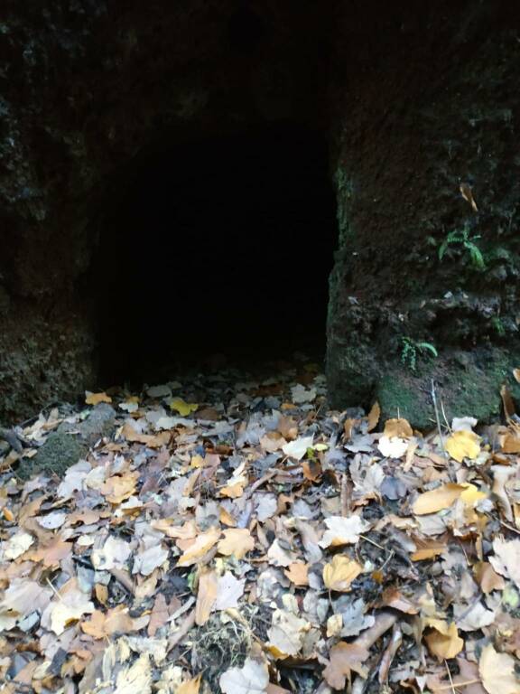 Tagliata Grotte Cave a Rocca di Papa