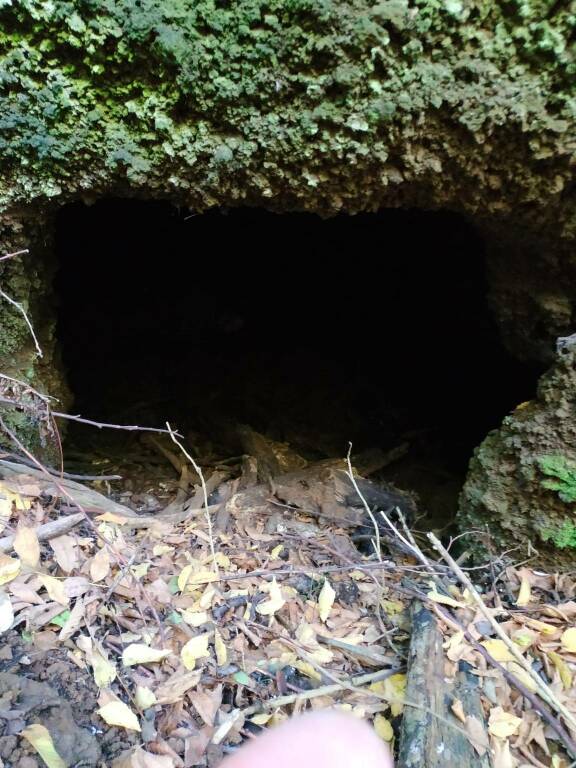 Tagliata Grotte Cave a Rocca di Papa