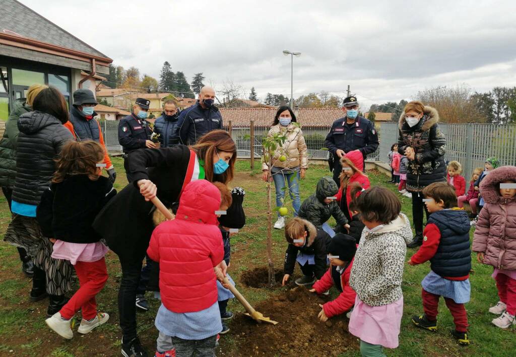 festa dell'albero rocca di papa