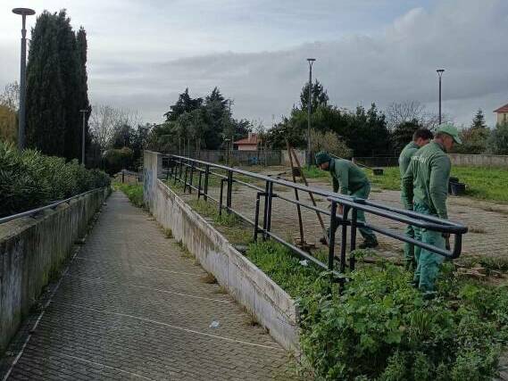 Genzano piantumazione alberi Progetto Ossigeno