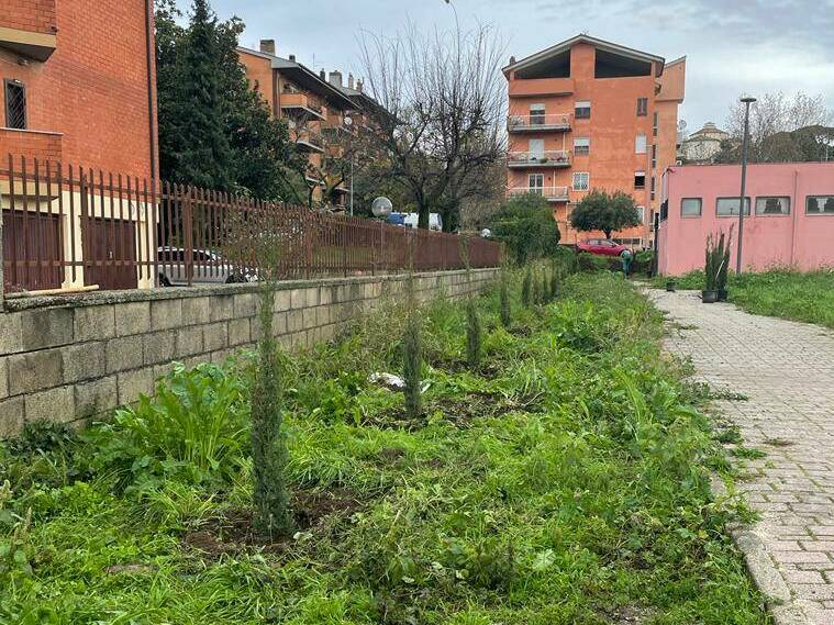 Genzano piantumazione alberi Progetto Ossigeno