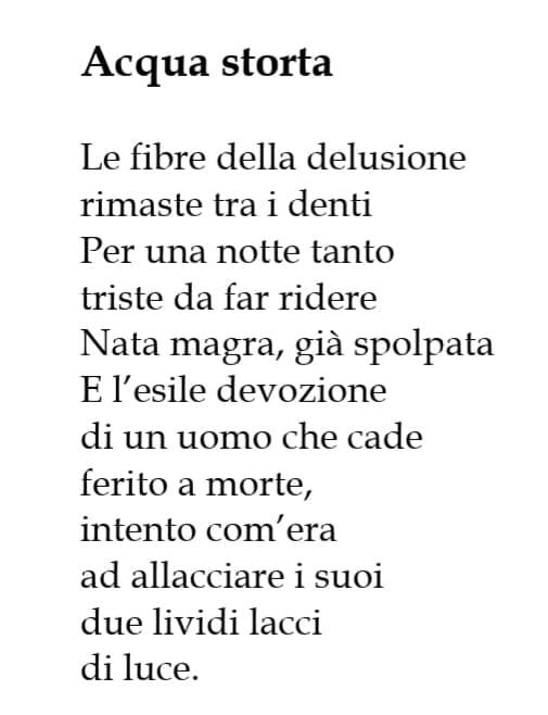 Alessandro De Santis poesia