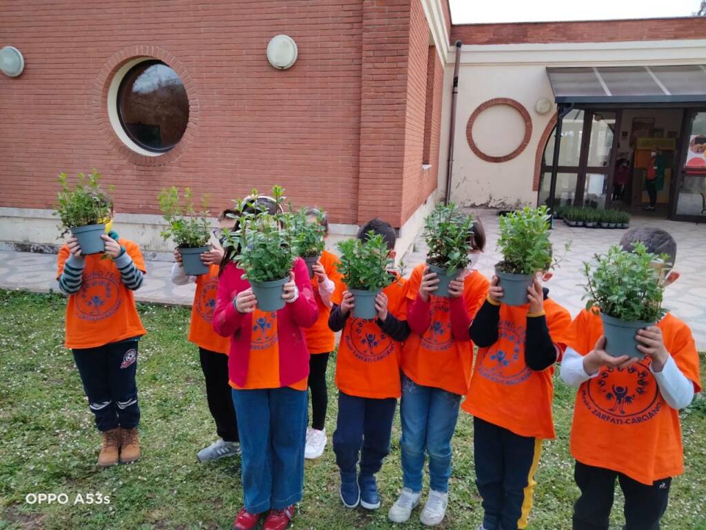 Scuola Zarfati Carciano Velletri