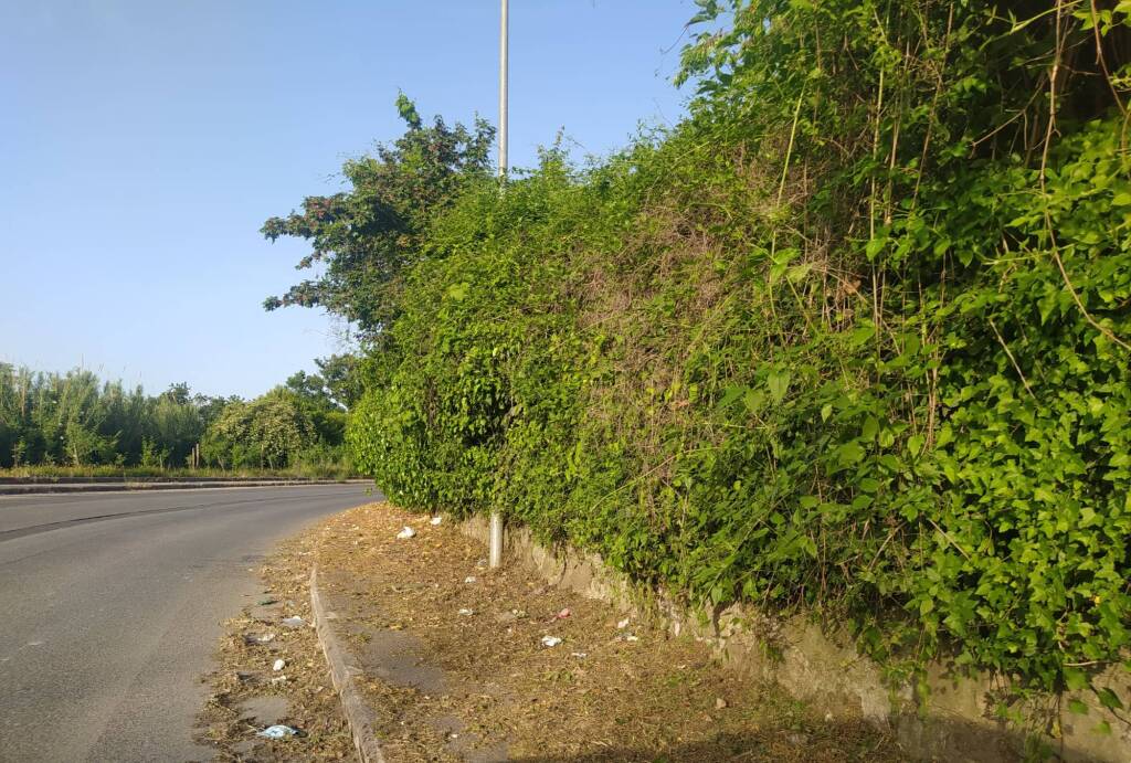 via delle calcare rocca di papa