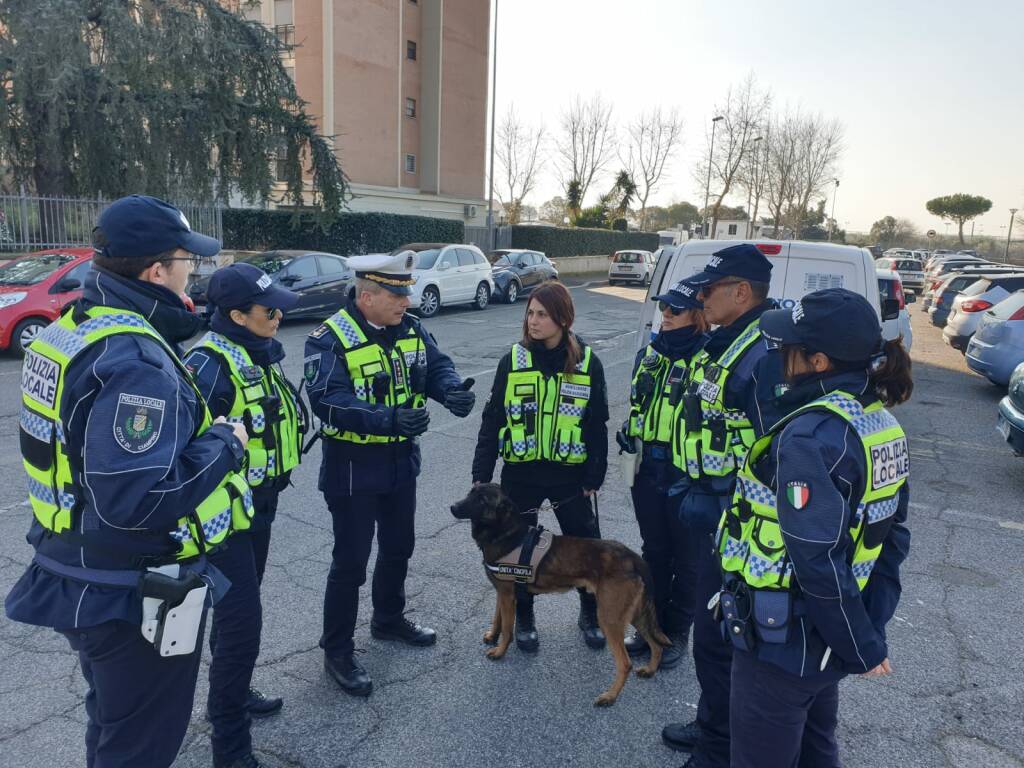 Ciampino Polizia Locale Cane