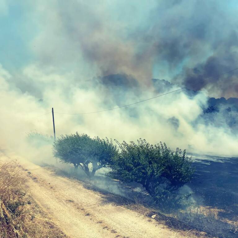 incendio lanuvio