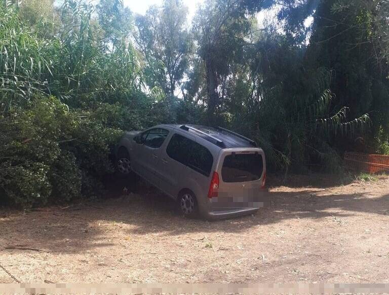 Maltempo, ingenti danni a Latina: alberi caduti sotto la furia del downburst