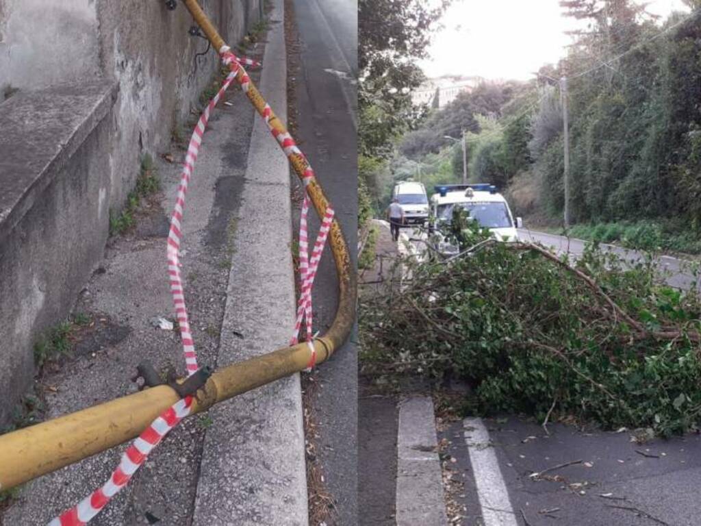 Castel Gandolfo Semaforo e Albero Caduto 30 Ott 2023